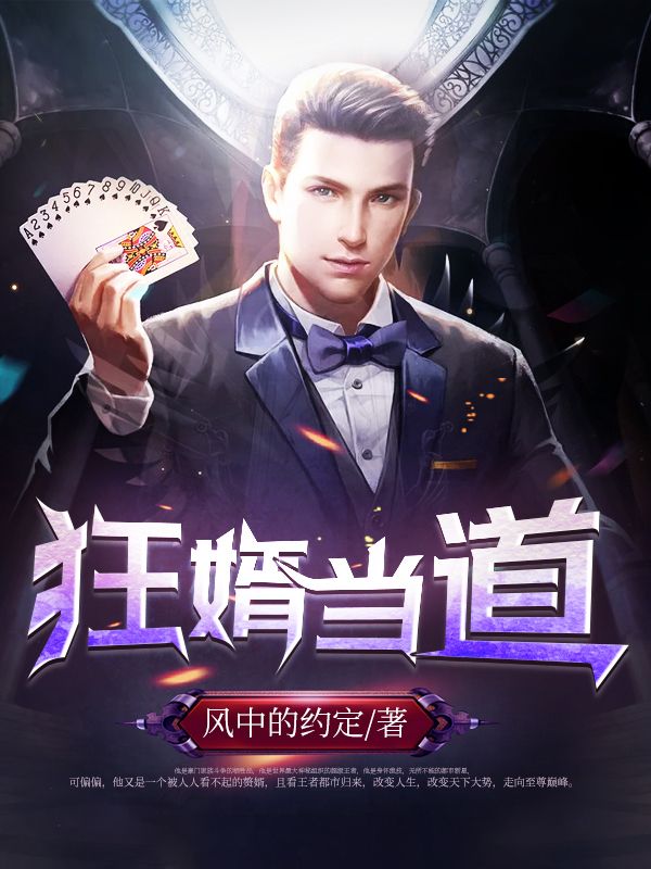 狂婿当道在线阅读