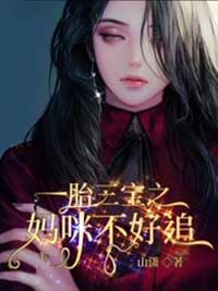 一胎三宝之妈咪不好追在线阅读