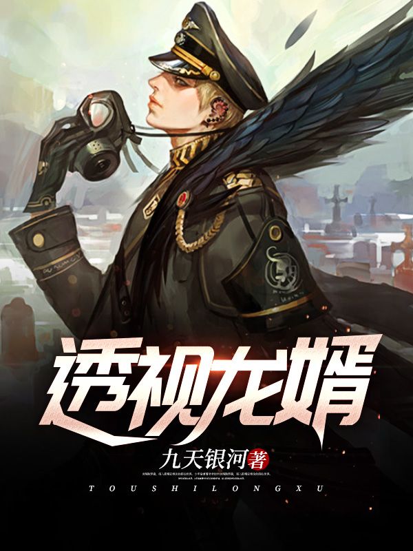 透视龙婿在线阅读