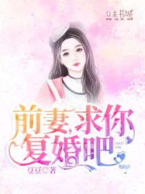 前妻，求你复婚吧小说
