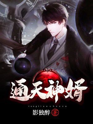 通天神婿在线阅读